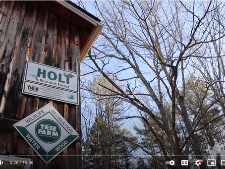 WATCH: A Harvest at the Holt