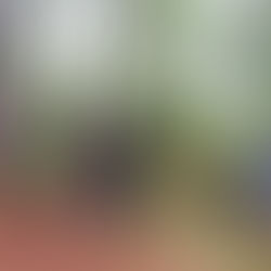 Cultivating the Next Generation of Maine's Forest Stewards