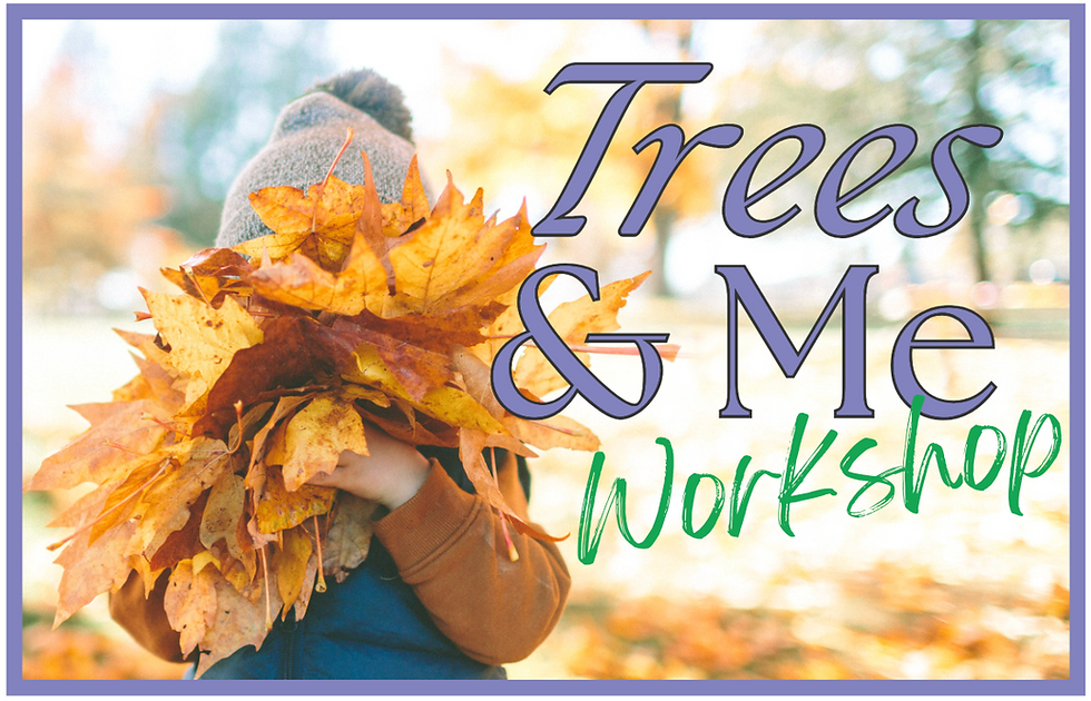 Trees & Me Workshop