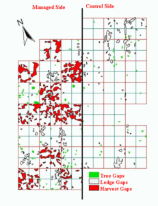 gaps2_labeled-231x300-2.gif