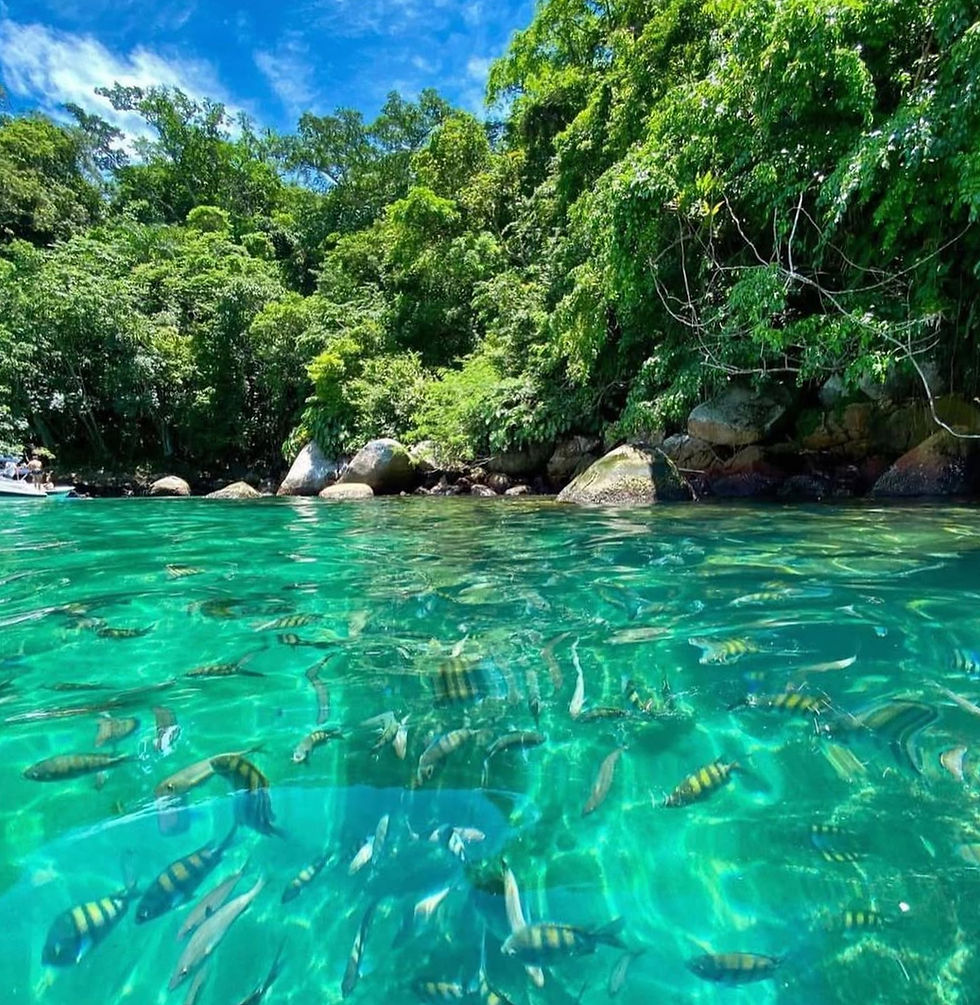 Passeio de Barco em Paraty