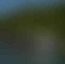 Passeios de Barco Paraty