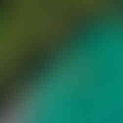 Passeio de Barco Privativo em Paraty