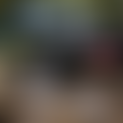 Passeio de Jeep em Paraty