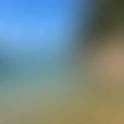 Passeios de Barco Paraty