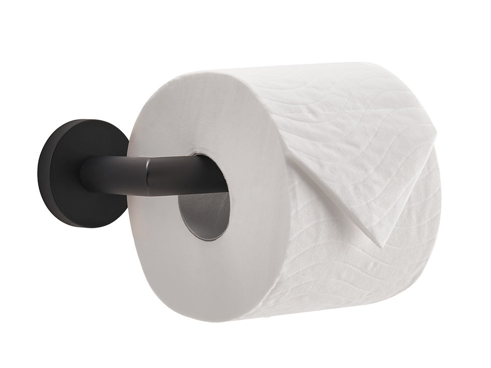 Harrogate Toilet Roll Holder
