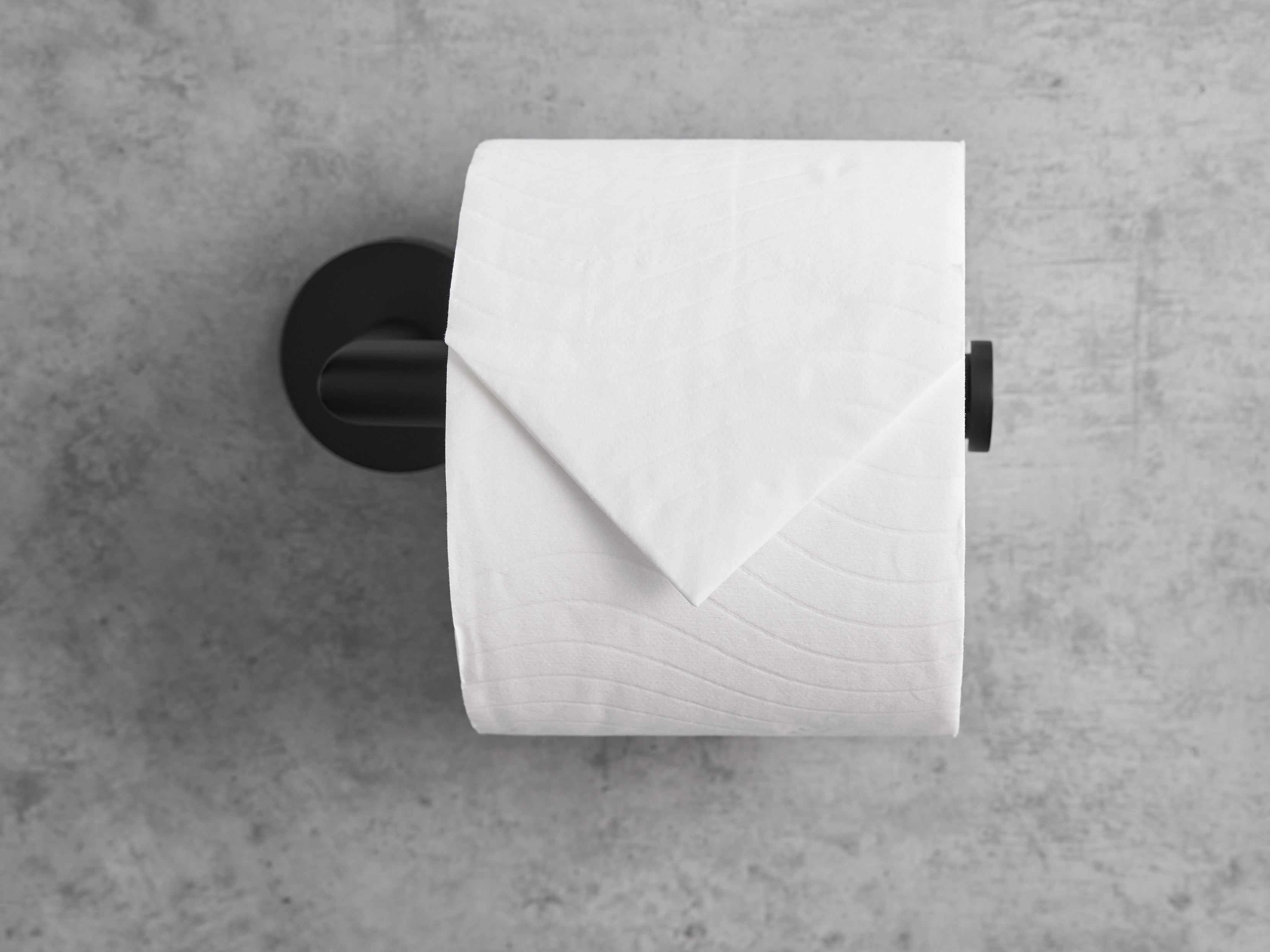 Harrogate Toilet Roll Holder in Black view 2