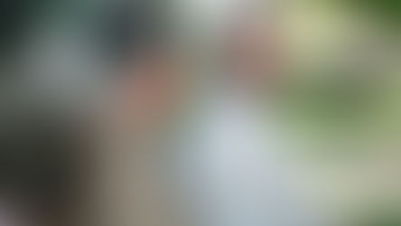 “Forrest Gump” 4K is a mixed bag of chocolates