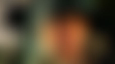 “The Quick and the Dead” 4K shoots to kill!