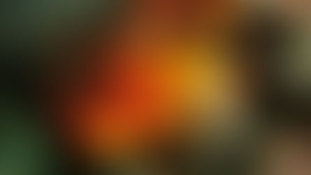 Exceptional “Black Hawk Down” jumps onto Ultra 4K loaded with extras