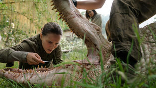“Annihilation” evolves into psychological thriller