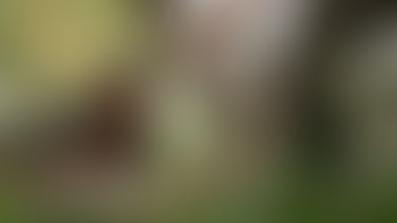 “Annihilation” evolves into psychological thriller