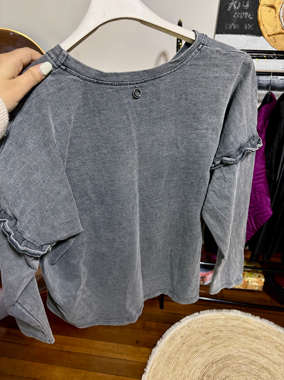 Miniatura: Polerón IO