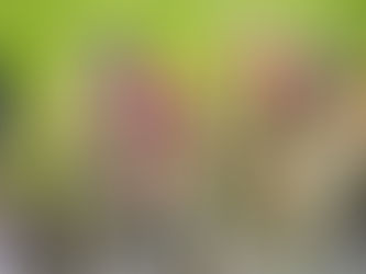 3. Etappe Tour de Suisse Vaduz – Chur