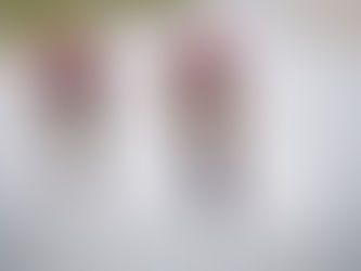 4. Etappe Tour de Suisse die Königsetappe