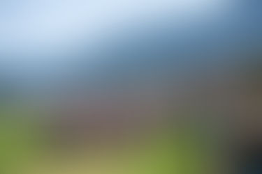 Nach dem Regen scheint die Sonne