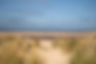coast pic.jpg