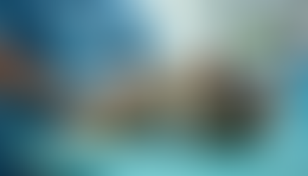 Memahami Biopsi untuk Kucing Anda: Proses, Risiko dan Arti Hasilnya