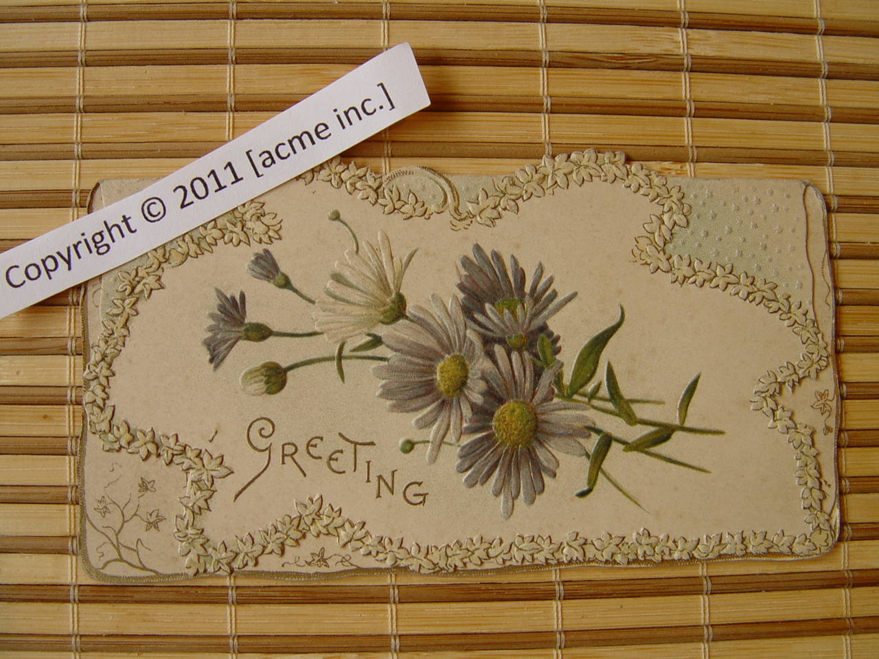 http://www.acme-inc.co.uk/greetingscards/DSC05493.jpg