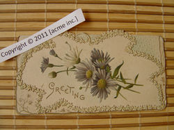 http://www.acme-inc.co.uk/greetingscards/DSC05493.jpg