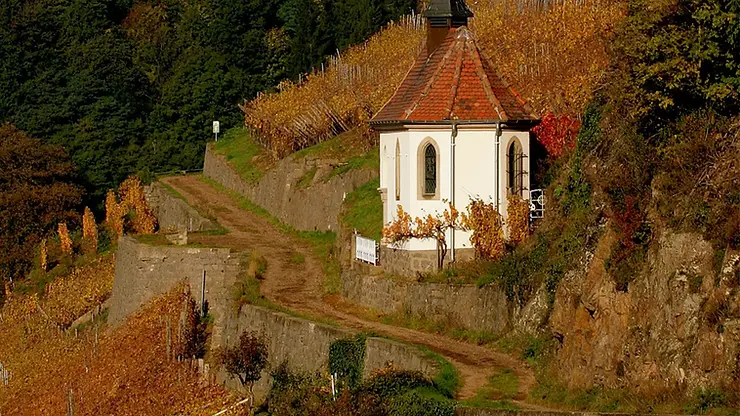 White chapel with red roof on a hill, surrounded by autumnal vineyards and dense green forest, under a clear sky. Dirt path leads uphill.