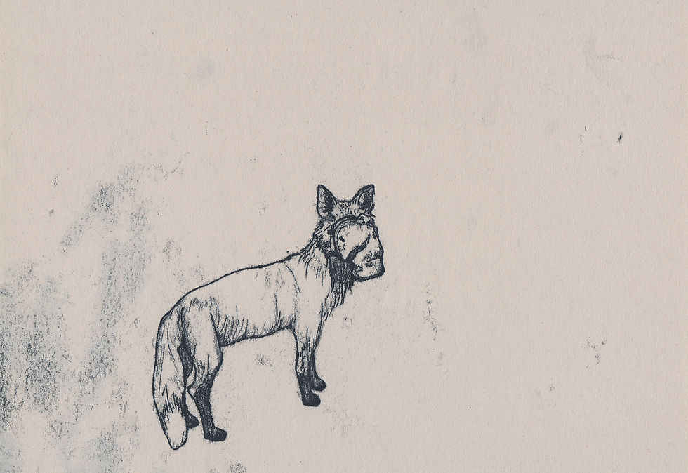 Plastic Tears Series (Fox)