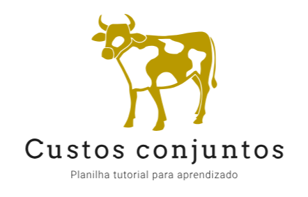 Planilha de Custos conjuntos custeio