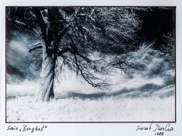 Analogfotografie, Fine Art Fotografie, horst marka