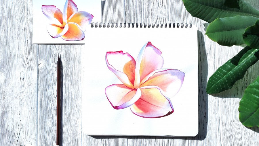 Ботаническая живопись