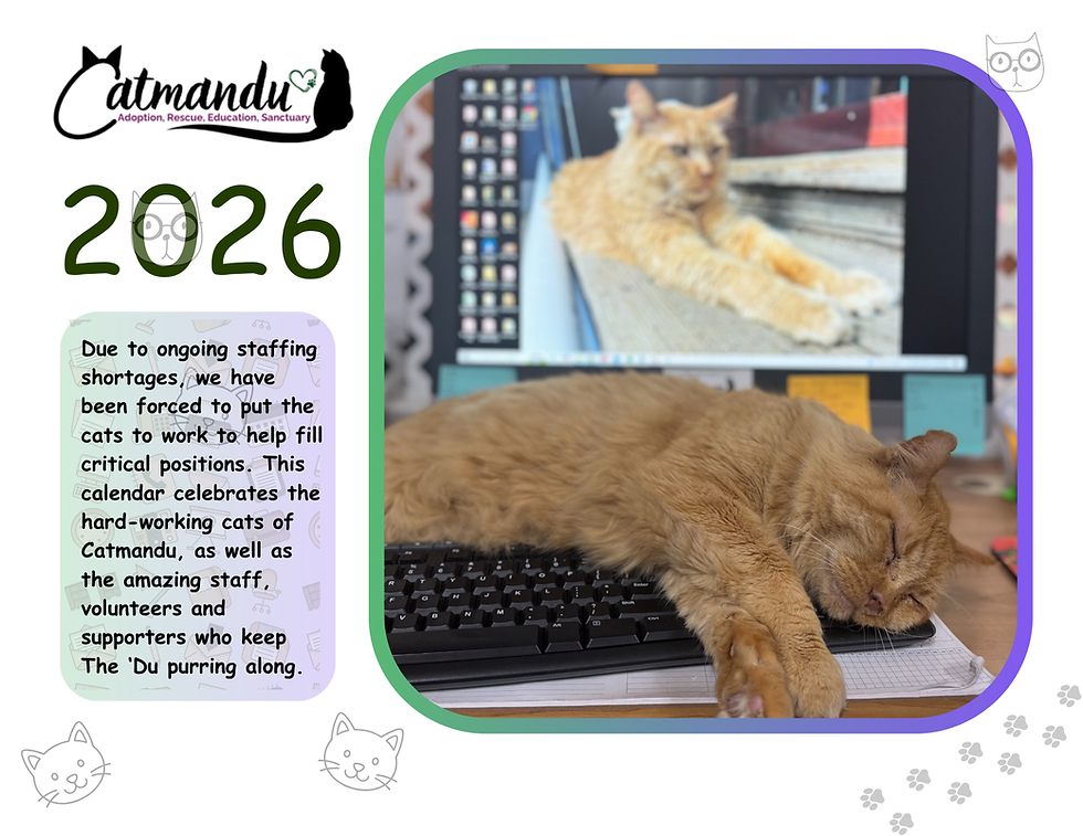 2026 Catmandu Calendar