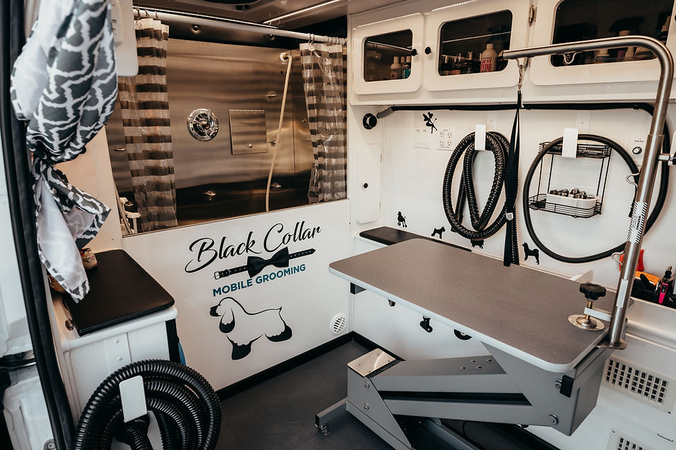 Black Collar Mobile Grooming Ocala Fl