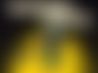 Can Athletic Scholarships Be Taken Away? Here’s What You Need to Know