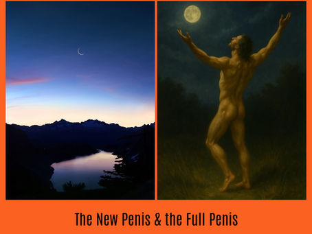 The New Penis & the Full Penis