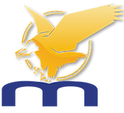 Eagle_Myslik_no lines (1).png