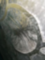 28876645_2052035444836852_2044308184_o