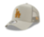 Küçük resim: NEW ARE LEAGUE ESS TRUCKER OSFM