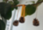 Pinecones hang from a tree branch with orange ribbons, against a window backdrop. Bright green leaves create a natural, cosy atmosphere.