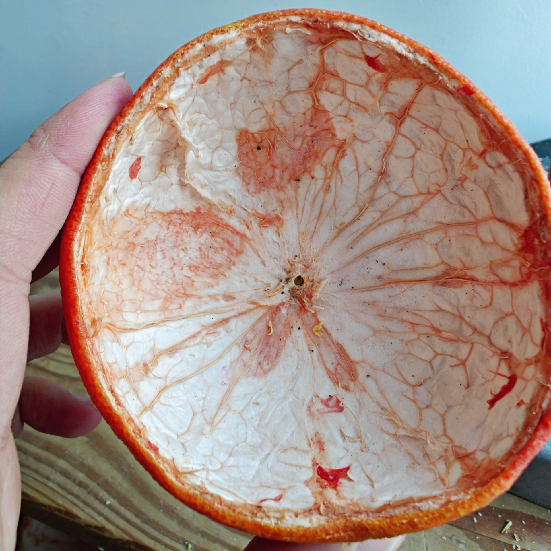 Grapefruit half peel 