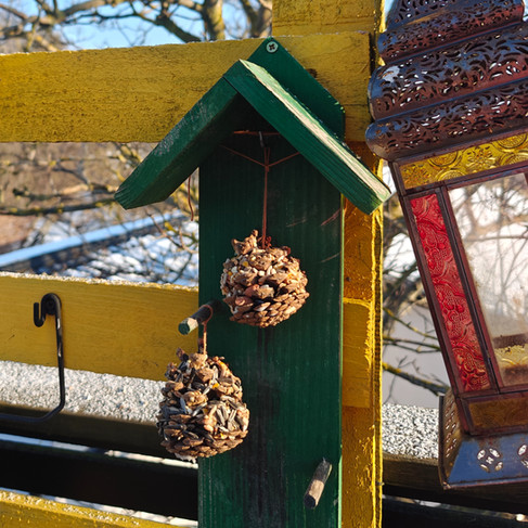 Two hanging pinecone birdfeeders