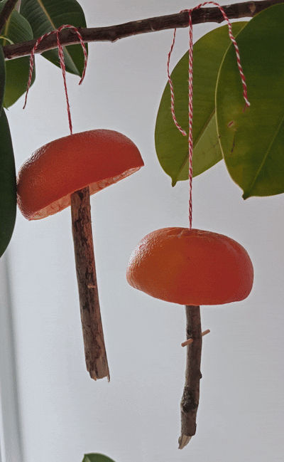 Grapefruit peel halves hang from strings as DIY mushrooms on a branch, brown sticks as stems. Green leaves in background, against a light wall.