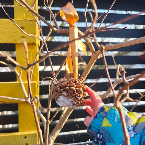 Child hanging up bird feede