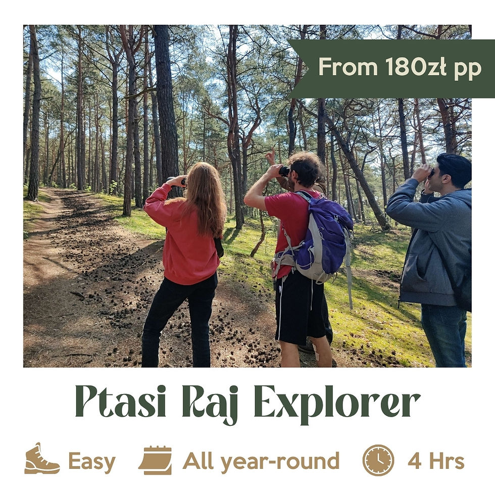 Ptasi Raj Explorer