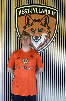 Skærmbillede 2025-10-18 kl. 20.29.38.png