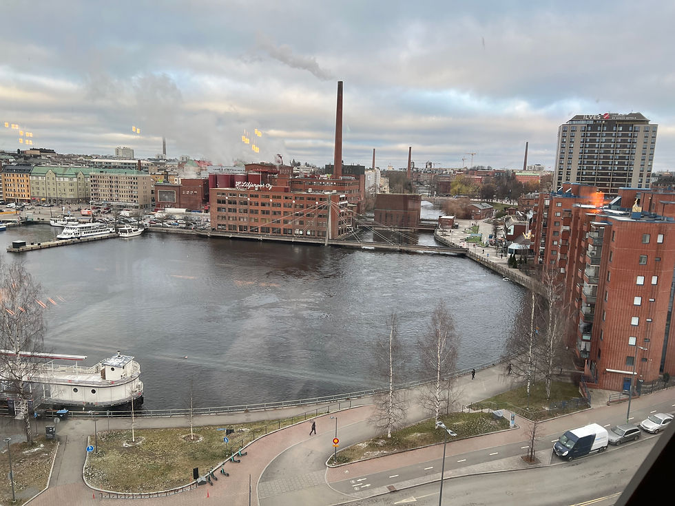 Tammerkoski ala org.jpg