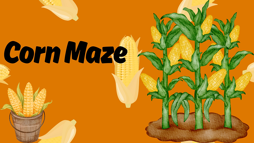 Youth Corn Maze Trip