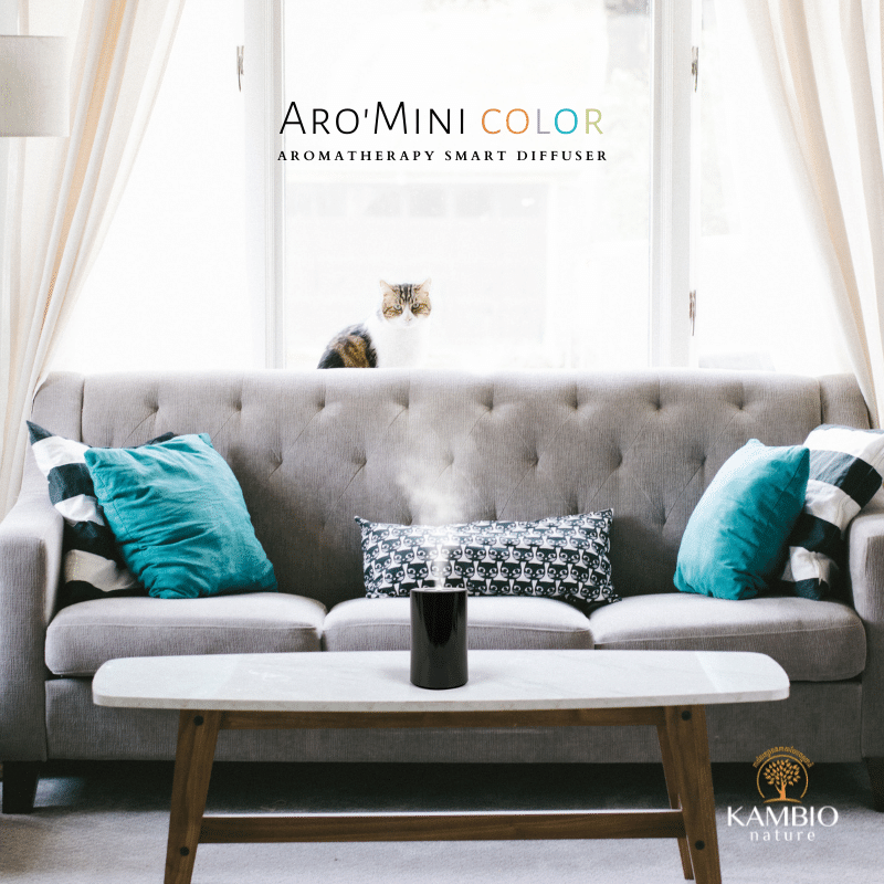 Thumbnail: Aro'Mini Color Diffuser