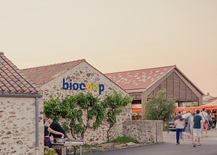 2607-Halle de marche-Comete architecture-Brem-Sur-Mer-Francois Dantart-Tous droits reserve
