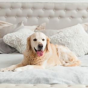 AdobeStock_229926035.jpeg