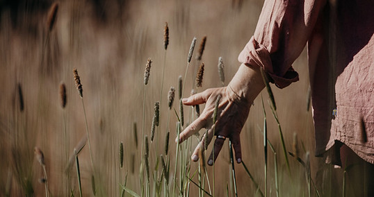 bettina-hartwig-hand-wiesengras-embodiment-coaching-hamburg_edited.jpg