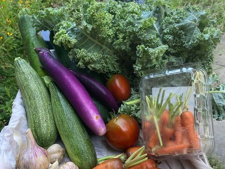 Appleton Field Contributes to the Scituate Food Pantry